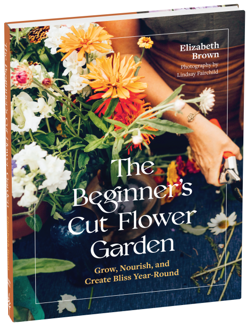 The Beginner’s Cut Flower Garden