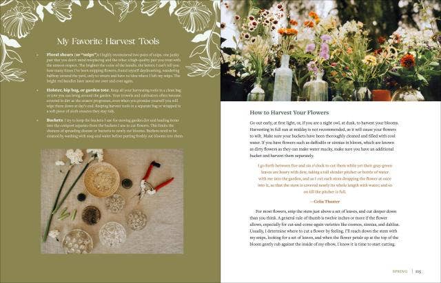 The Beginner’s Cut Flower Garden