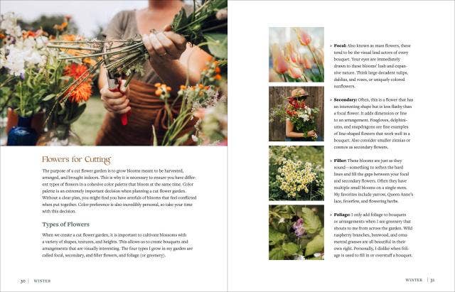 The Beginner’s Cut Flower Garden