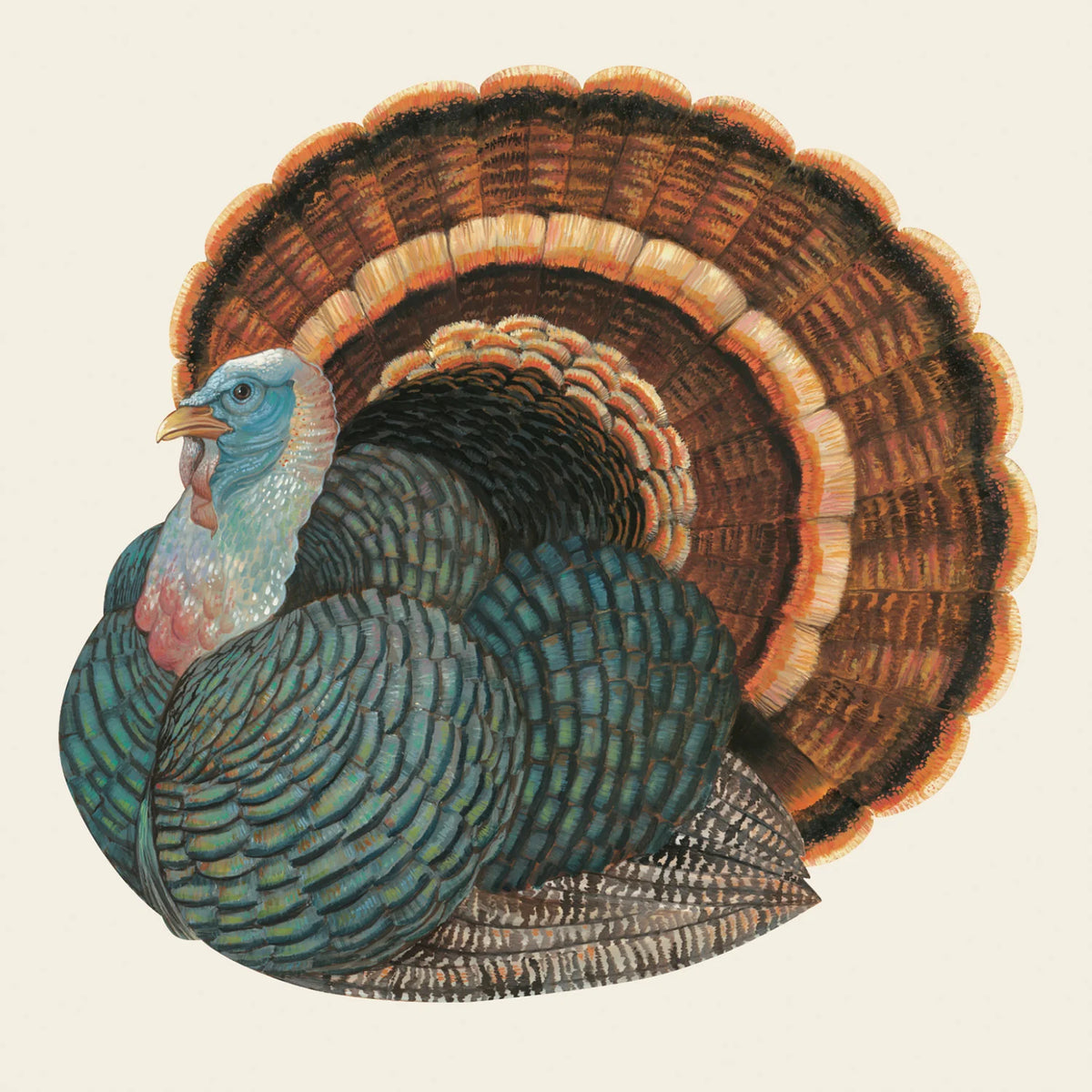Heritage Turkey Cocktail Napkins